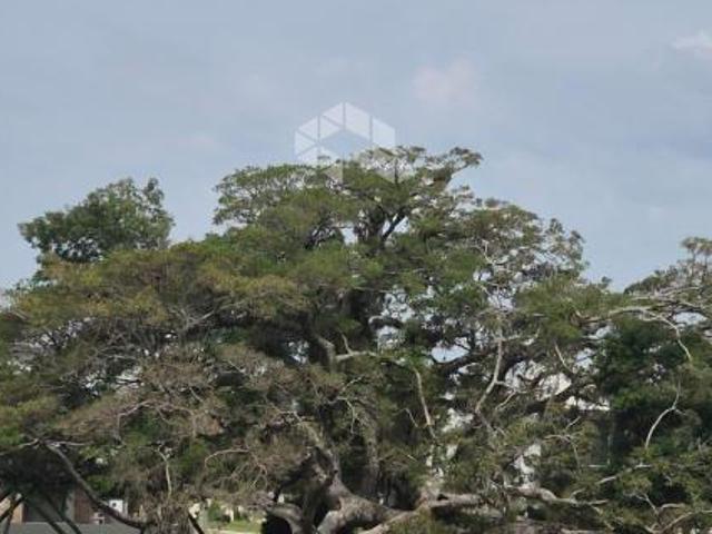 Terreno venda em Região Geográfica Imediata de Porto Alegre, Região Metropolitana de Porto Alegre