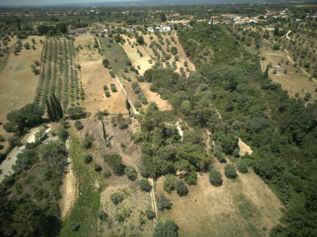 Terreno venda em Brogueira