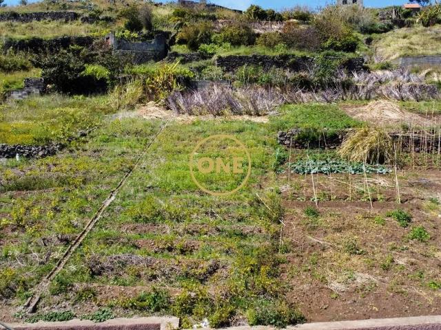 Terreno venda em Câmara De Lobos, Ilha Da Madeira