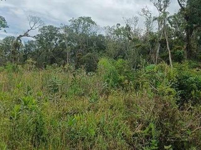 Terreno venda em Região Geográfica Imediata de Paranaguá, Matinhos