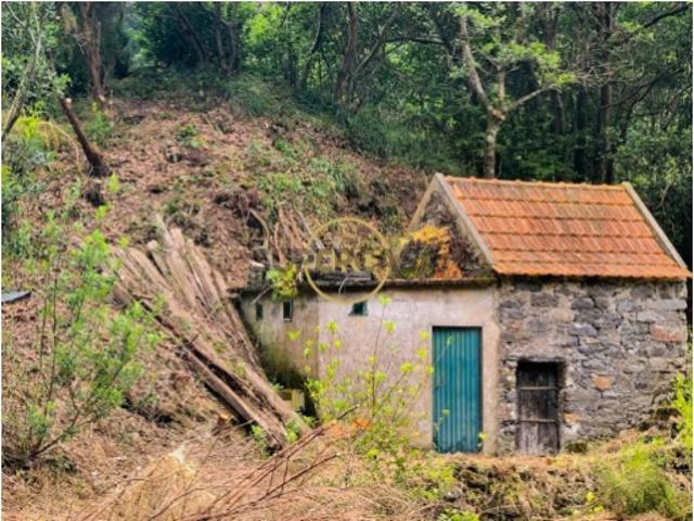 Terreno venda em Chão da Ribeira, Porto Moniz