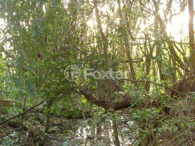 Terreno venda em Região Geográfica Imediata de Porto Alegre, Região Metropolitana de Porto Alegre