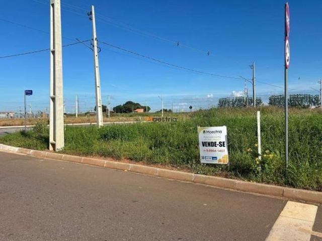 Terreno venda em Região Geográfica Imediata de Sorriso, Sorriso
