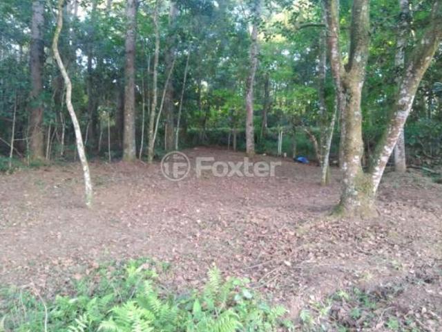 Terreno venda em Região Geográfica Imediata de Porto Alegre, Região Metropolitana de Porto Alegre