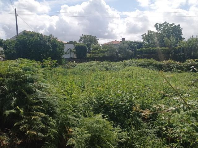 Terreno venda em Valença, Viana Do Castelo