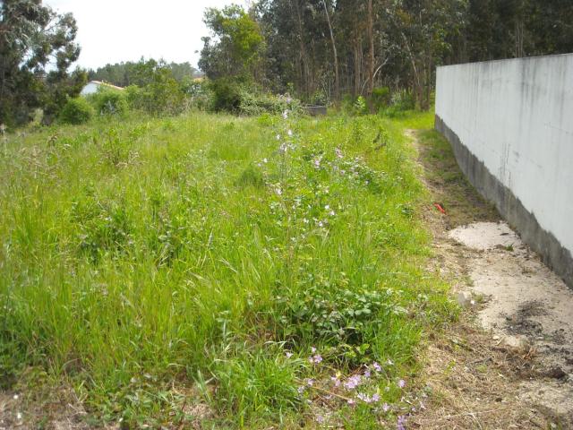 Terreno venda em Figueira Da Foz, Coimbra