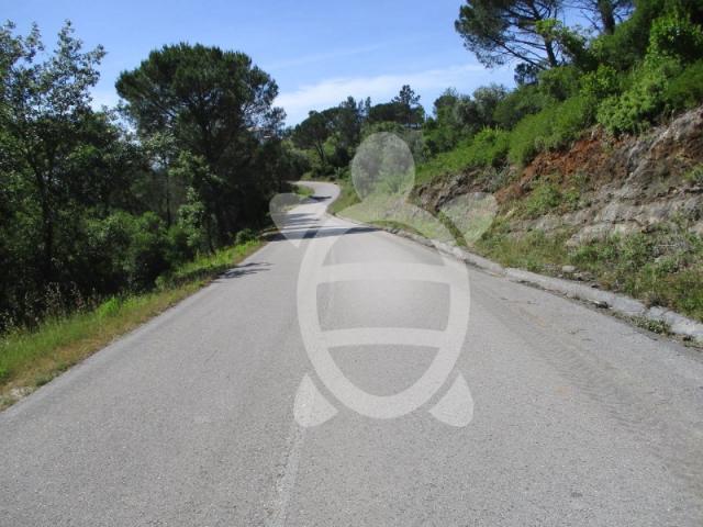 Terreno venda em Condeixa-a-nova, Coimbra