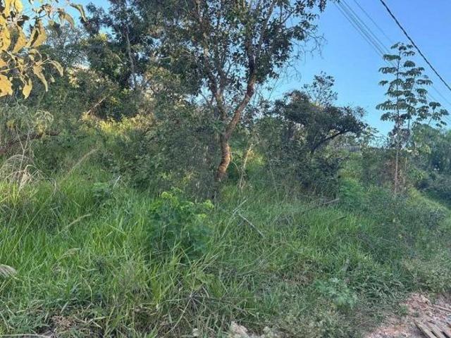 Terreno venda em Região Geográfica Imediata de Salinas, São João do Paraíso