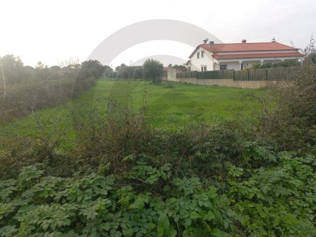 Terreno venda em Brogueira