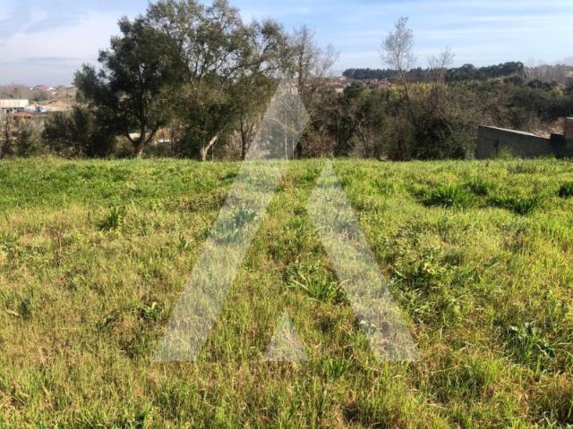 Terreno venda em Anadia, Aveiro