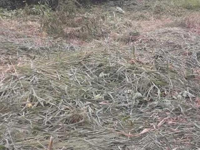 Terreno venda em Região Geográfica Imediata de Patos de Minas, Patos de Minas