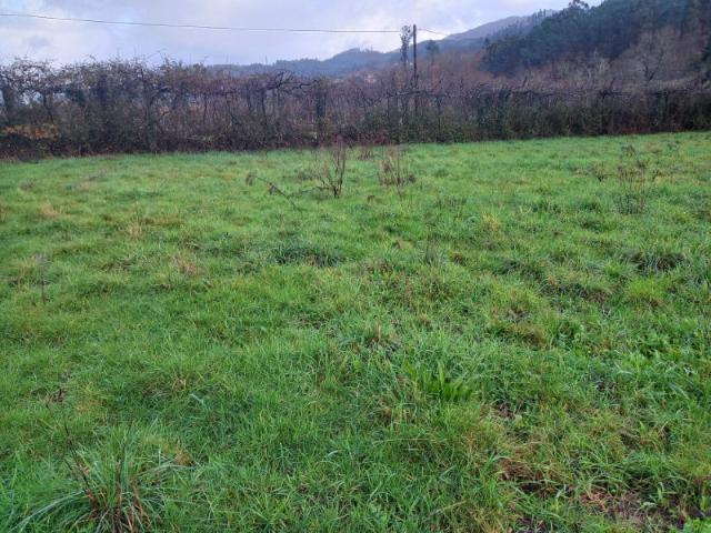 Terreno venda em Arcos De Valdevez, Viana Do Castelo