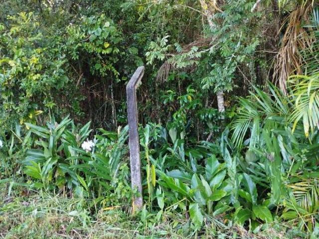 Terreno venda em Vila Santo Antônio, Morretes