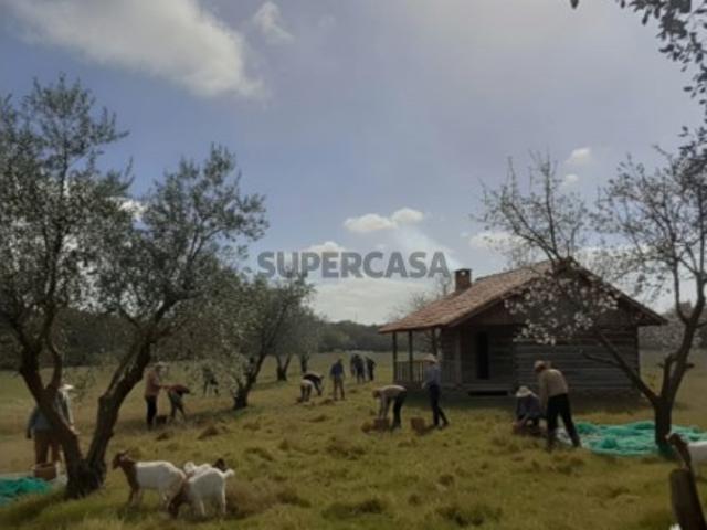Casa venda em Nisa, Portalegre