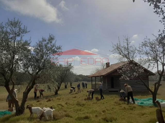 Casa venda em Nisa, Portalegre