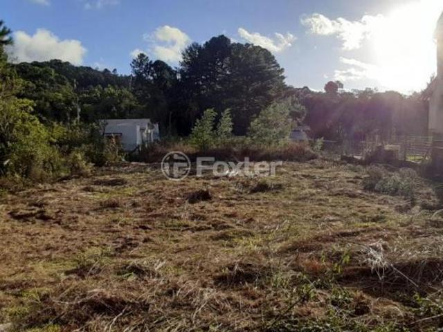 Terreno venda em Região Geográfica Imediata de Caxias do Sul, Gramado