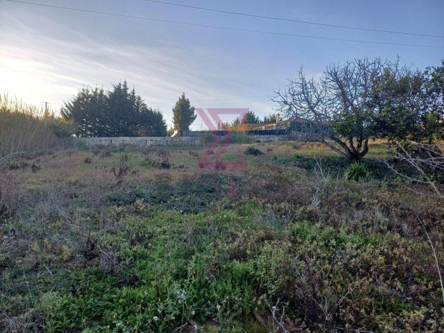 Terreno venda em Rossio do Carvalhal, Bombarral