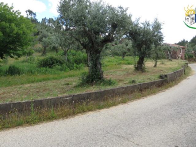 Terreno venda em Castelo Branco, Proença-a-nova