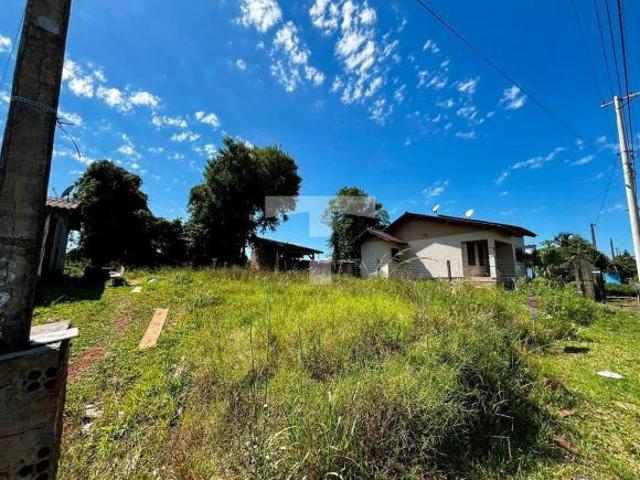 Terreno venda em Região Geográfica Imediata de Novo Hamburgo - São Leopoldo, Lindolfo Collor