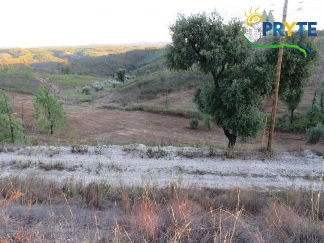Terreno venda em Castelo Branco, Cumeada