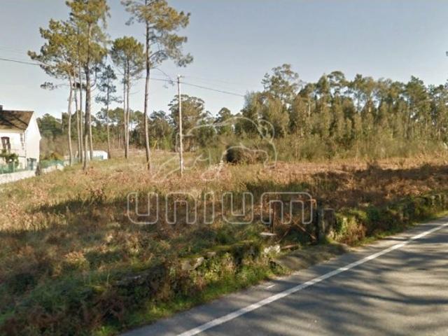 Terreno venda em Viana Do Castelo