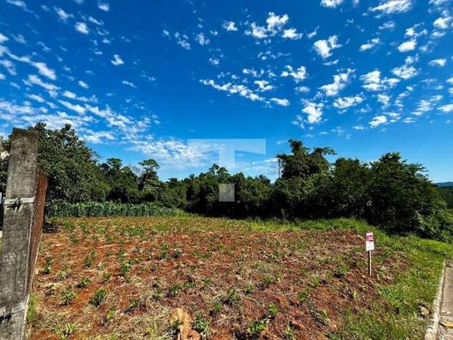 Terreno venda em Região Geográfica Imediata de Novo Hamburgo - São Leopoldo, Lindolfo Collor
