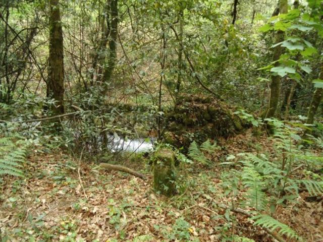 Terreno venda em Boalhosa, Viana Do Castelo