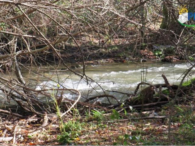 Terreno venda em Castanheira De Pêra, Leiria