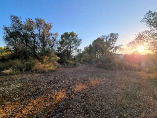 Terreno en venta en Ribera d'Ebre, Catalunya
