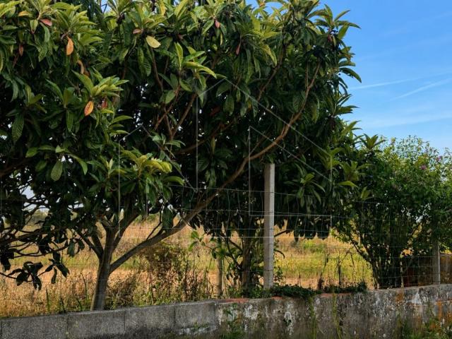 Terreno venda em Oliveirinha, Aveiro