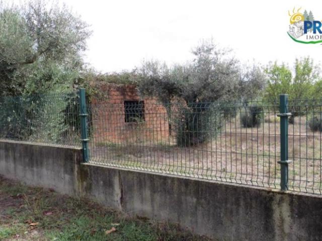 Terreno venda em Castelo Branco, Cumeada