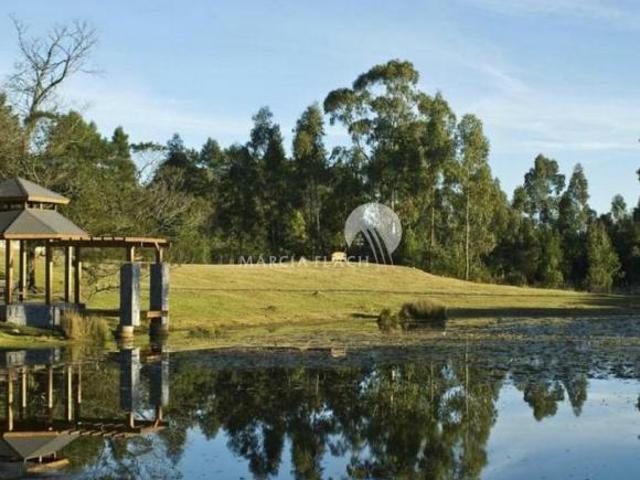 Terreno venda em Região Geográfica Imediata de Caxias do Sul, Gramado