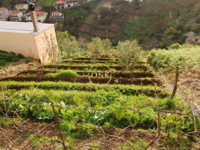 Terreno venda em Estreito de Câmara de Lobos, Câmara De Lobos