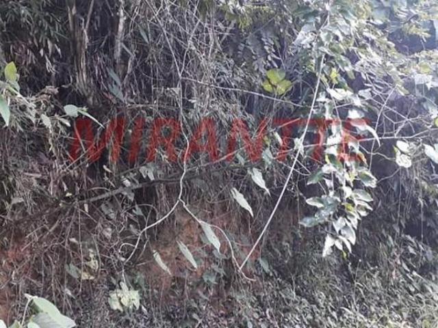 Terreno venda em Região Imediata de Dracena, Dracena