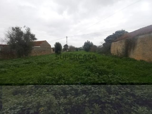 Terreno venda em Torres Novas, Santarém