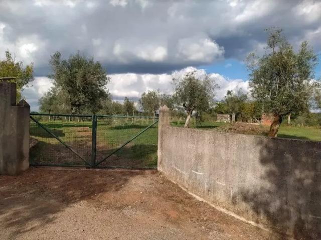 Terreno venda em Pussos, Leiria
