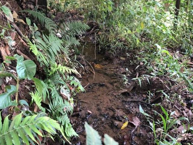Terreno venda em Piracema