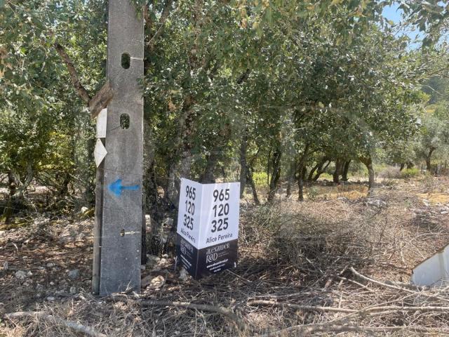 Terreno venda em Porto De Mós, Leiria