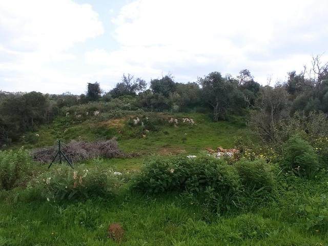 Terreno venda em Albufeira e Olhos de Água, Albufeira
