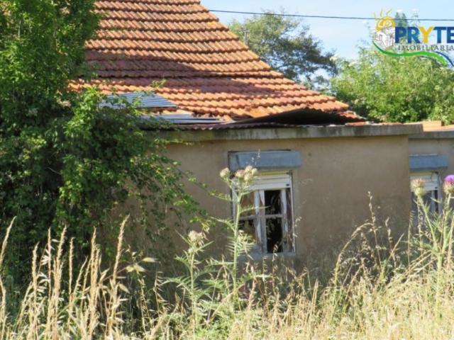 Terreno venda em Rego Da Murta, Santarém