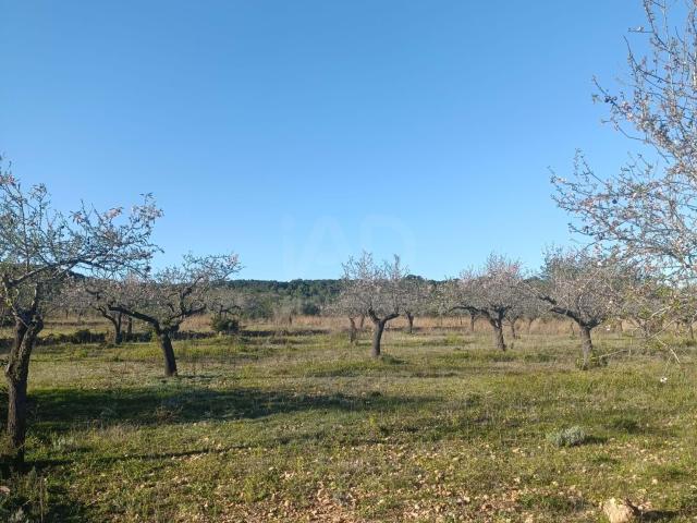Terreno en venta en Baix Ebre, Catalunya