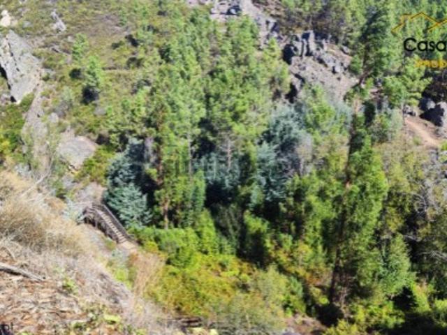 Terreno venda em Castelo Branco, Cumeada