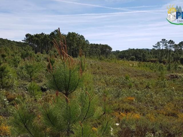 Terreno venda em Castelo Branco, Cumeada
