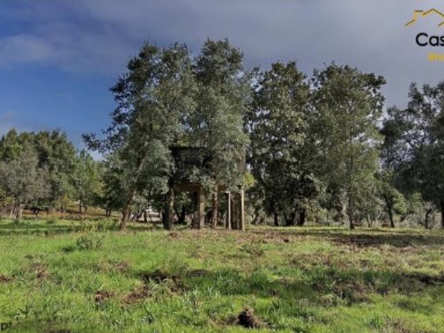 Terreno venda em Castelo Branco, Cumeada