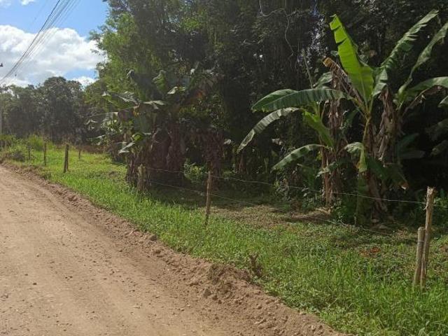Terreno venda em Vila Santo Antônio, Morretes