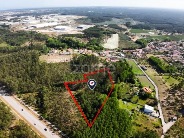 Terreno venda em Cantanhede, Coimbra