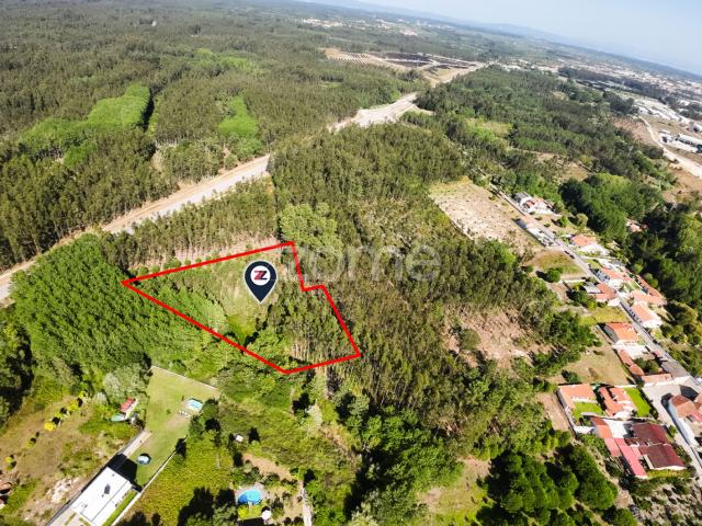 Terreno venda em Cantanhede, Coimbra