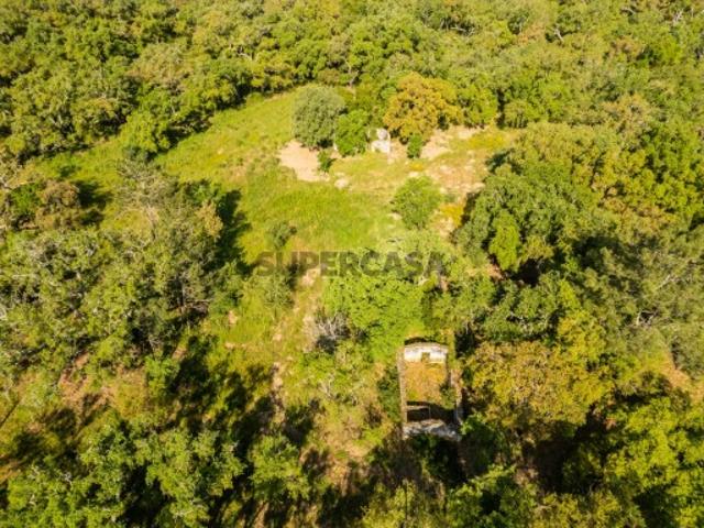 Terreno venda em Santiago Do Cacém