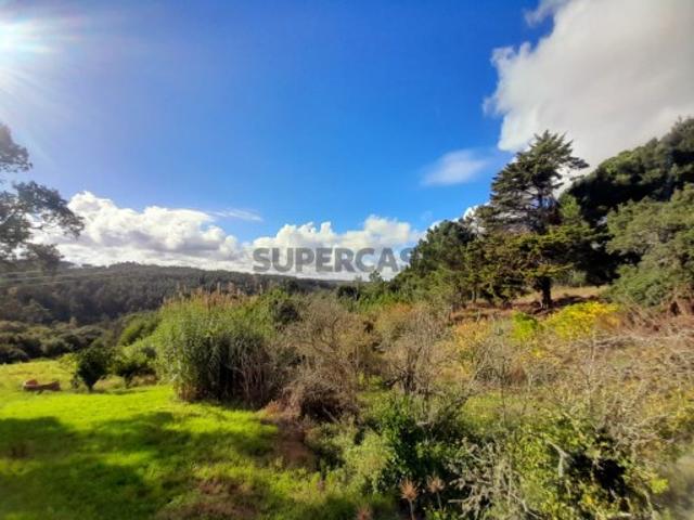 Terreno venda em Óbidos, Leiria