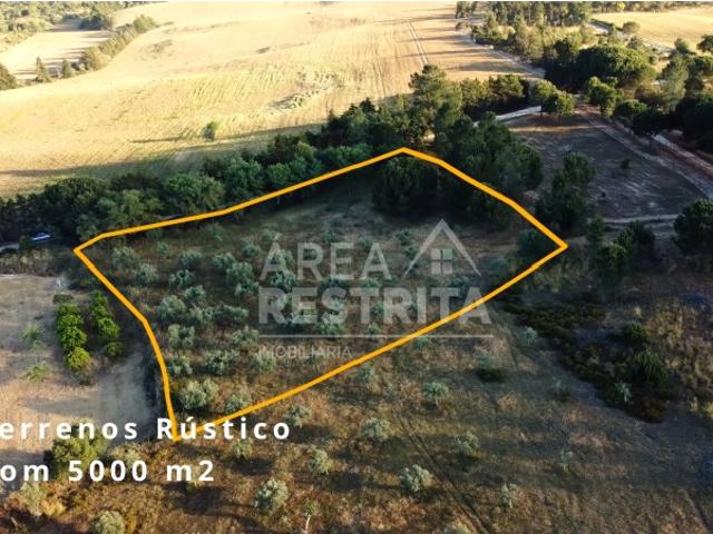 Terreno venda em Bairro Almansor, Montijo